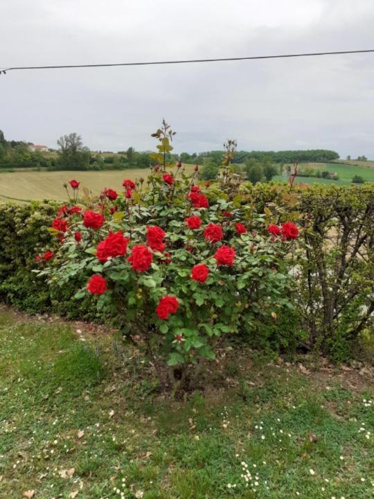 Gite De La Cheneraie Montpezat-de-Quercy Εξωτερικό φωτογραφία